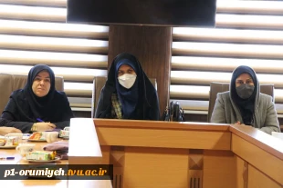 نشست مشترک شوراهای آموزشی. پژوهشی دانشگاه پیرامون سامانه ملی کار آموزی و نشستهای کارآفرینی
 4