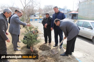 کاشت نهال به مناسبت روز درختکاری در محوطه دانشگاه ملی مهارت واحد استان آذربایجان غربی 3