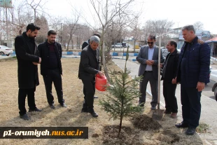 کاشت نهال به مناسبت روز درختکاری در محوطه دانشگاه ملی مهارت واحد استان آذربایجان غربی 6