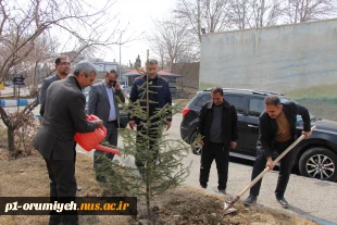 کاشت نهال به مناسبت روز درختکاری در محوطه دانشگاه ملی مهارت واحد استان آذربایجان غربی 8